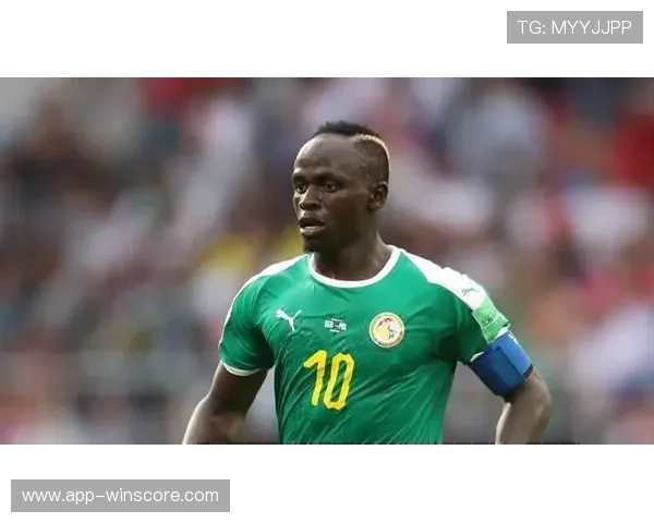 非洲杯决赛庆祝活动致法国63人被捕